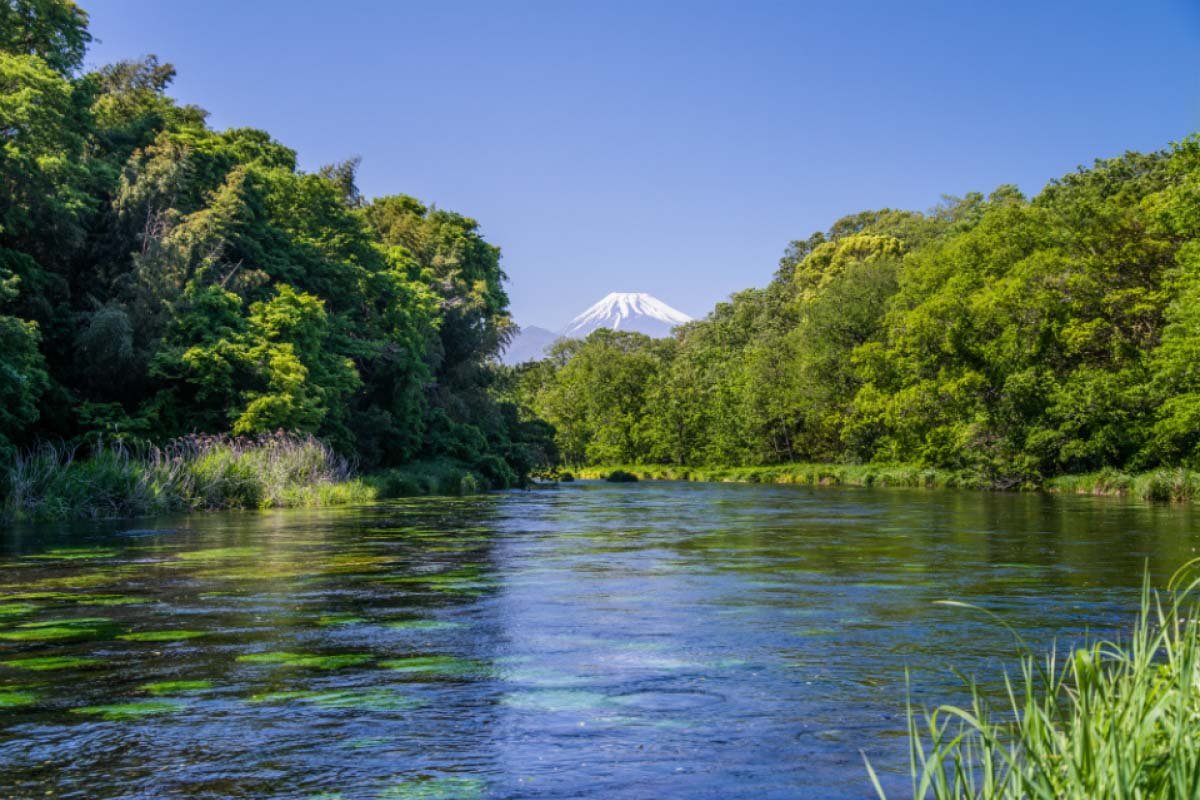 🏞️ 카키타가와 공원 이미지 7